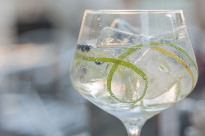 How is Gin Made – From “Too Many Hassles” to “Easy Peasey”