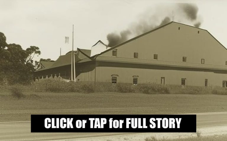 The Fire That Burned the Bundaberg Distillery to the Ground
